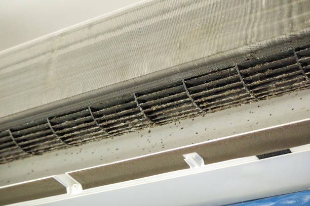 Best Professional Duct Cleaning Services  in Beeville, TX